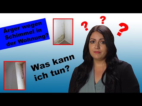 Schimmel in der Wohnung? Was kann ich tun? | IV Mieterschutz
