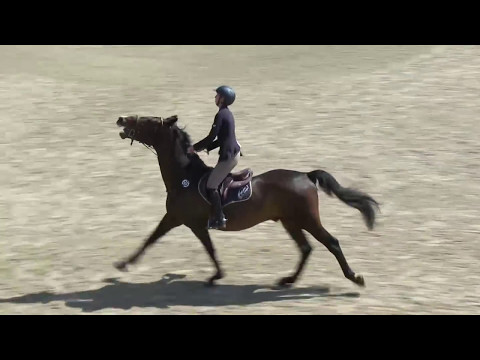 Chepstow International CSI2* - Day 3 -  Class 30 Gold Tour Grand Prix 1.30m