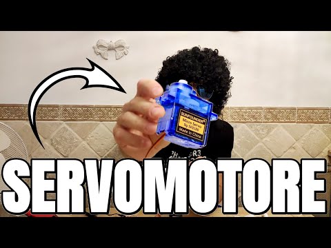 Pilotare un SERVOMOTORE senza arduino.