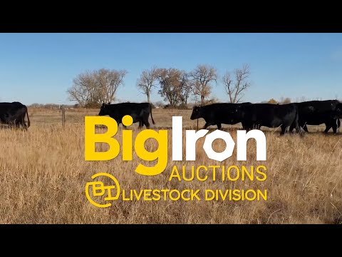 Big Iron Auction Co