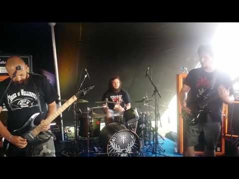 Sodomized cadaver at bloodstock