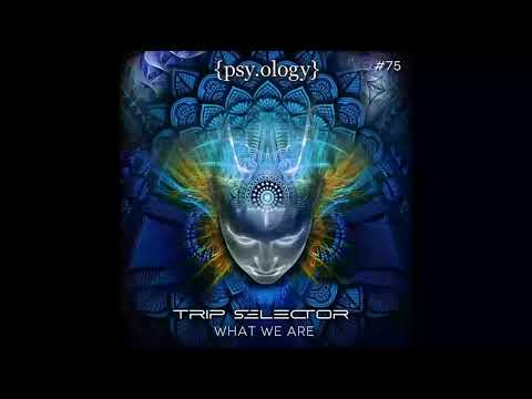 Trip Selector – What We Are