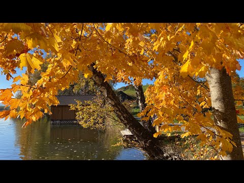 90 min Entspannung pur mit Dr. Arnd Stein