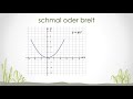 Gestreckte Und Gestauchte Parabeln Breit Und Schmal
