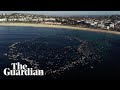 Hundreds Return To Waters Of Bondi Beach In Tribute To Victims Of Mass Shooting