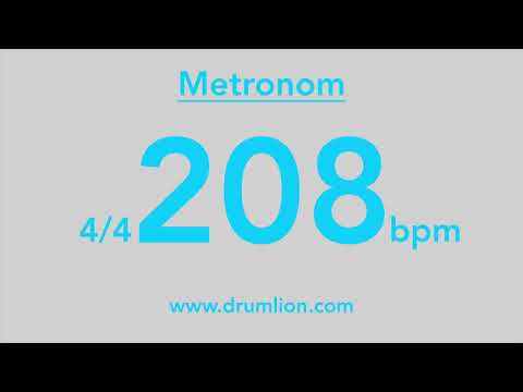 208 bpm - 4/4 | DRUMLION