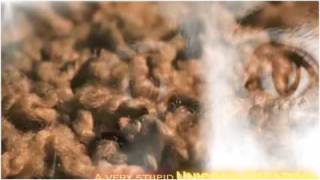 *:* New Moon Trailer*:* (Jasper's Struggle)