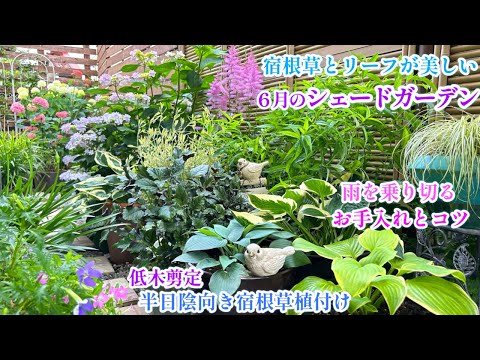 composition-jardinière-été-plantes-succulentes-perle