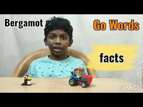 Bergamot-The meaning, pronunciation, facts about Bergamot-Ajay-Learn Words-Go words Official  (2020)