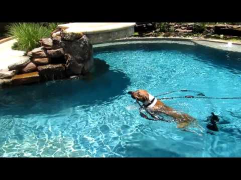 Beau and Rachel Take a Dip