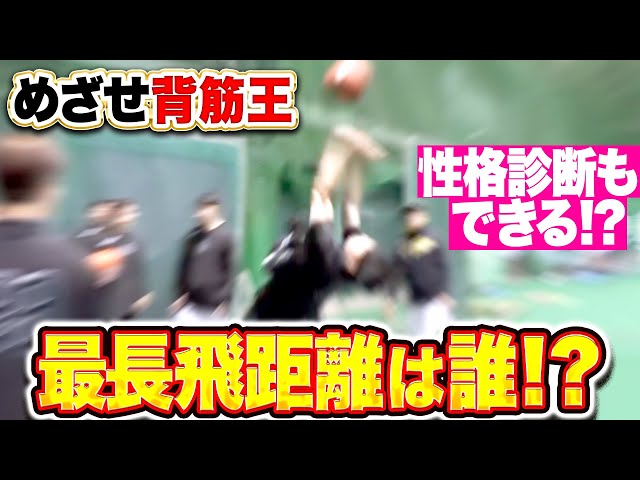 【ゴリゴリパワー系】目指せ背筋王『メディシンボールスロー 最長距離を叩き出したのは？』【性格診断もできる!?】