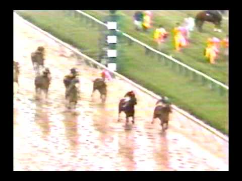 1983 Preakness Stakes - Deputed Testamony