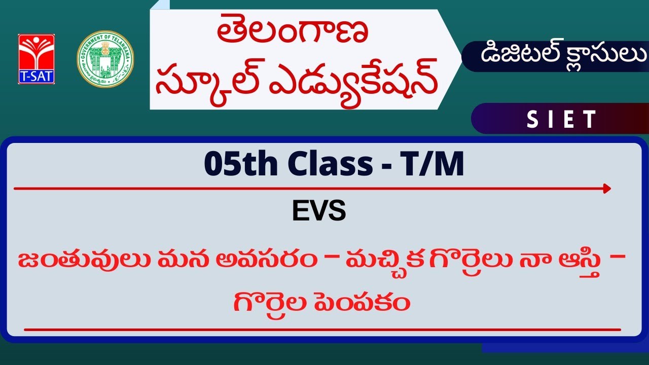 V Class - T/M || EVS – జంతువులు మన అవసరం – మచ్చిక గొర్రెలు నా ఆస్తి – గొర్రెల పెంపకం
