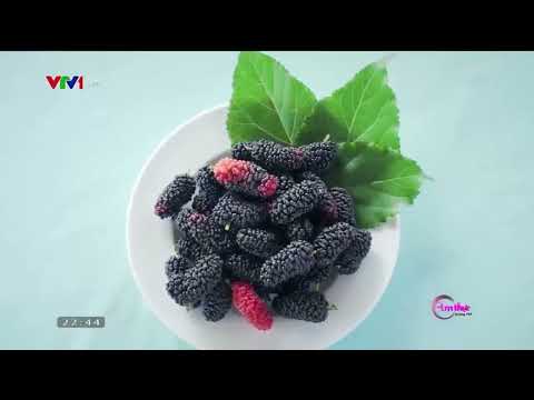 GỎI BÒ DÂU TẰM - ĐẶC SẢN 7 SĂNG