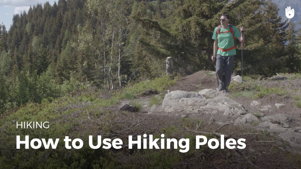 Learn How to Use Trekking Poles Learn About Hiking Sikana