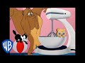 Looney Tunes The Kitty Cookie Classic Cartoon WB Kids
