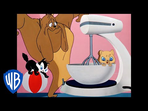 Looney Tunes | The Kitty Cookie | Classic Cartoon | WB Kids