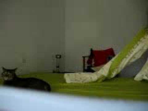 Tino ayuda a hacer la cama