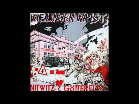 The Nitwitz & Götterflies 1981 Wielingen Walgt