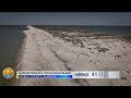 Preserving Paradise Ride Along And See Dauphin Island S New West End Nature Preserve