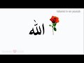 Beautiful Islamic Wallpaper Videos