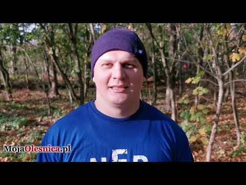 3.11.2019 Oleśnica - sadzenie drzew