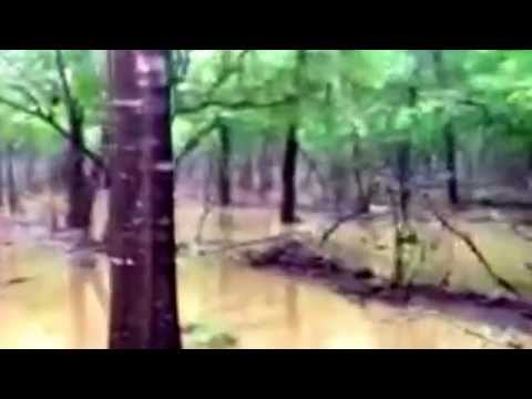 Hog Hunt Ranch flooded Out