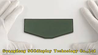 Segment LCD Instrument - SJXDGW025 - Custom Segment Design