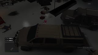 Grand Theft Auto V_20241211000008