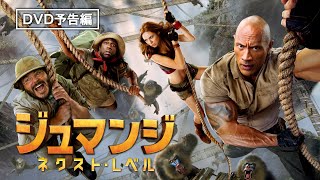 ドウェイン・ジョンソン主演　前作を超える体感型アクション・アドベンチャー『ジュマンジ／ネクスト・レベル』2020年3月11日（水）デジタル先行配信 / 3月25日（水）ブルーレイ&DVD発売