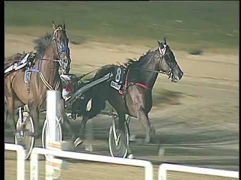 Trotto 19/08/2017 - 5ª corsa