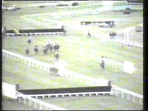 1992 - Cheltenham - Champion Bumper - Montelado