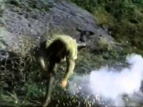 Any Other - the BosweLLs (feat. Roger Joseph Manning Jr.)