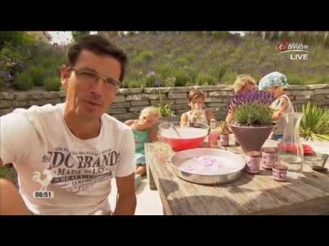 Most beautiful garden - my simple garden