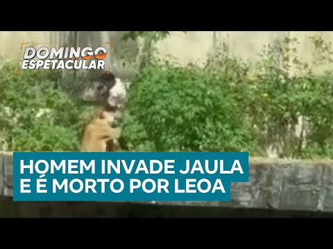 Homem invade jaula e é morto por leoa em zoológico de João Pessoa (PB)