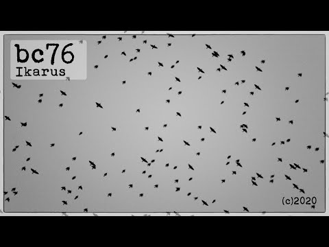 bc76 - Ikarus