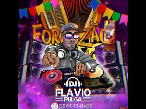 MEGA FORRO DJ FLAVIO PULGA