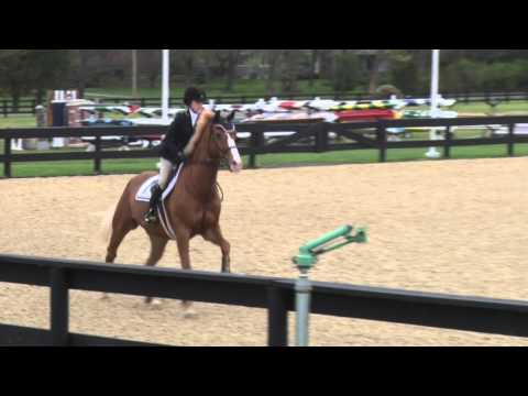 Unreel ridden by Olivia Dehoff--Medium Child/Adult Jumpers