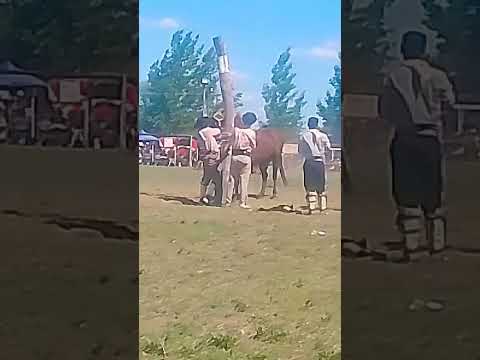 47° fiesta de la tradición buena esperanza San Luis