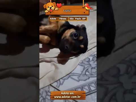 Vídeo de Lupita