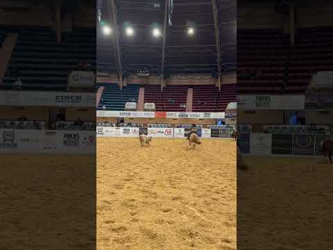 , title : 'Isabella Banuelos, only 13-years-old) tied for the NCHA Futurity Int. NonPro Res. Championship! #QHN'