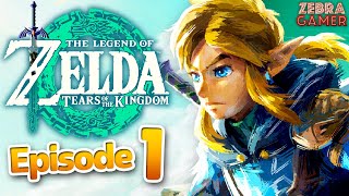 The Legend of Zelda: Tears of the Kingdom Part 1 - The Great Sky Island! The Demon King Awakens!