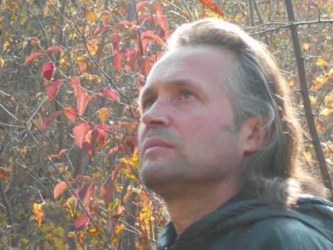 Valeriu Gorgos: Pasarea fericirii