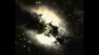 Carbon Based Lifeforms - Betula Pendula