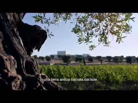 Crispiano Turismo (www.crispianoturismo.it)