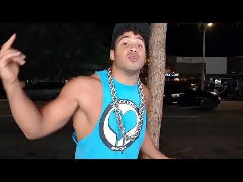 Platinum Max - HOLLYWOOD [Music Video/VLOG]