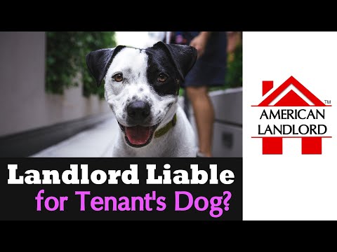 Landlord Liability for Tenant's Dog | American Landlord
