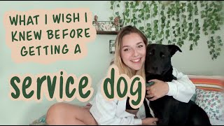 what I wish I had known before getting a service dog