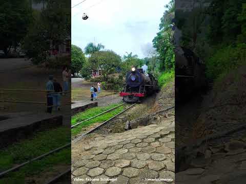🇧🇷 Lá vem a Maria / Train arriving - São Bento do Sul/SC - 2025 - (Brasil) #youtubeshorts #shorts