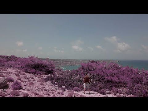 MiZeb - WENN ICH TOT BIN (prod. by encore)